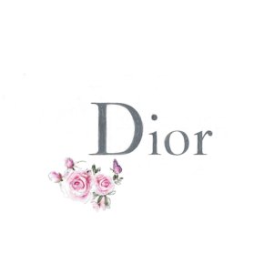 dior logo